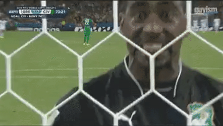Boubacar Barry Celebrates After Goal Against Greece